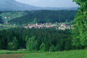 Blick auf Šmartno ob Dreit mit der Kirche des Hl. Martins, nach der der Ort seinen Namen bekam
